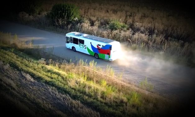 Colectivo Saludable Sustentable: una ruta, miles de historias…