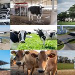 CON FOCO EN EL BIENESTAR ANIMAL Y LA REDUCCIÓN DE LA HUELLA DE CARBONO, MASTELLONE HNOS. ACOMPAÑA A JÓVENES ESTUDIANTES DEL AGRO