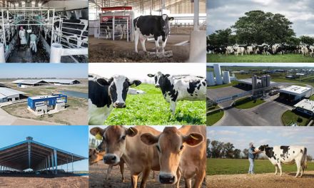 CON FOCO EN EL BIENESTAR ANIMAL Y LA REDUCCIÓN DE LA HUELLA DE CARBONO, MASTELLONE HNOS. ACOMPAÑA A JÓVENES ESTUDIANTES DEL AGRO