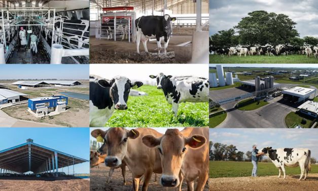 CON FOCO EN EL BIENESTAR ANIMAL Y LA REDUCCIÓN DE LA HUELLA DE CARBONO, MASTELLONE HNOS. ACOMPAÑA A JÓVENES ESTUDIANTES DEL AGRO
