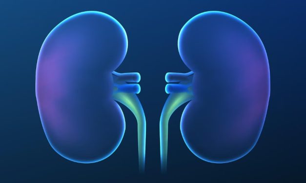 Cáncer de riñón: la enfermedad que se desarrolla en silencio