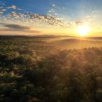 Día Mundial del Medio Ambiente: por qué cada acción cuenta para cuidar el planeta
