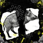 ¿Qué son las Zoonosis y como prevenirlas?