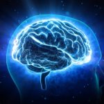 Día Mundial del Cerebro: los hábitos que ayudan a mantenerlo sano y prevenir enfermedades neurológicas