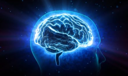 Día Mundial del Cerebro: los hábitos que ayudan a mantenerlo sano y prevenir enfermedades neurológicas
