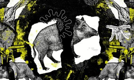 ¿Qué son las Zoonosis y como prevenirlas?