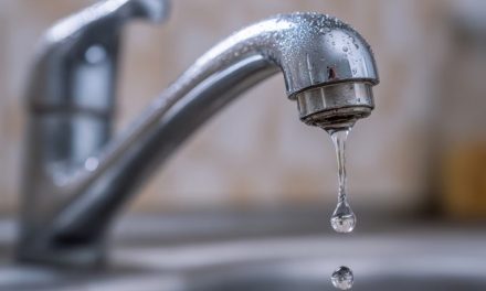 Semana Mundial del Agua: por qué cuidar este recurso también es cuidar nuestra salud y nuestro futuro