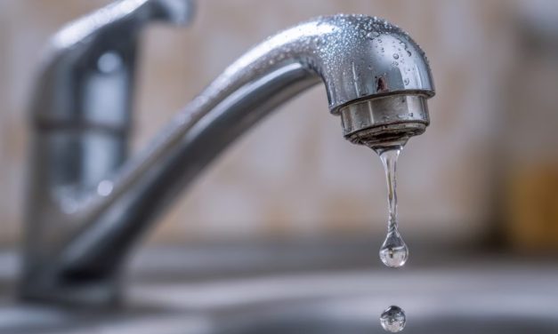 Semana Mundial del Agua: por qué cuidar este recurso también es cuidar nuestra salud y nuestro futuro