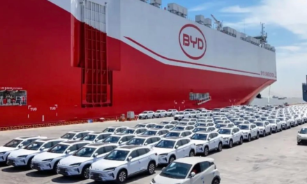 Autos chinos en Argentina: qué mirar para saber si un vehículo es realmente seguro