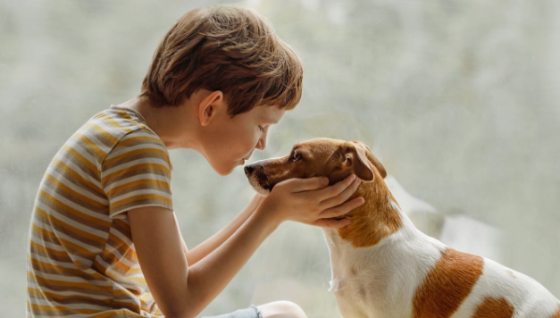 Duelo por una mascota, tristeza y despedida tras perder a un animal querido